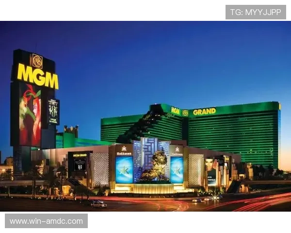 美高梅赌场：丰富的娱乐项目与豪华的住宿环境，满足不同客户的多样化需求