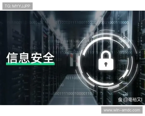 新濠真人：深入了解新濠真人的技术保障与安全措施